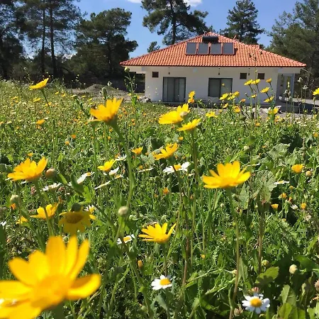 Manzara Villa Dalaman